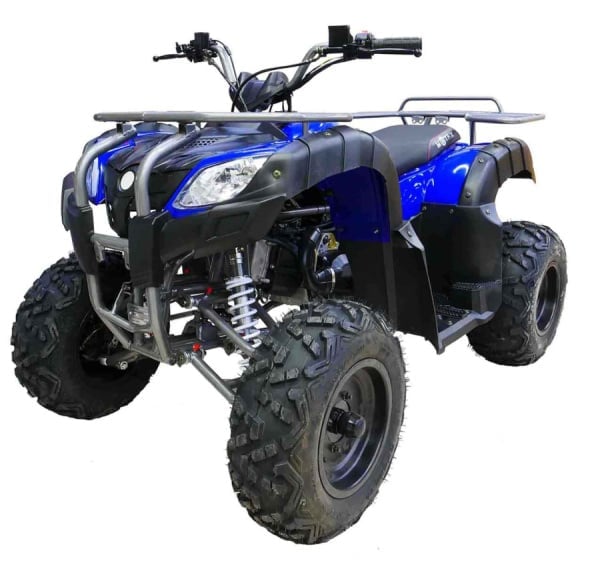 купить Квадроцикл MOTAX ATV Grizlik 200 в Томске - фото 