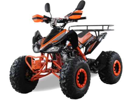 купить Квадроцикл MOTAX ATV T-Rex LUX 125 cc в Липецке - фото 