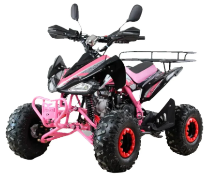 купить Квадроцикл MOTAX ATV T-Rex Super LUX 125 cc в Липецке - фото 