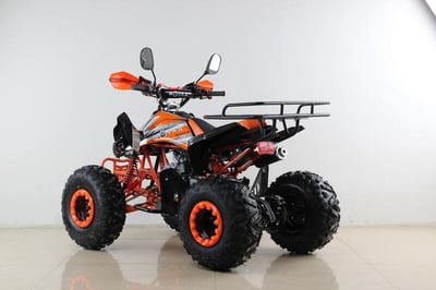 купить Квадроцикл MOTAX ATV T-Rex Super LUX 50 cc в Вологде - фото 