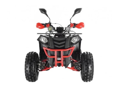 купить Квадроцикл Wels THUNDER EVO LUX X 125 в Волгодонске - фото 