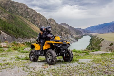 купить Квадроцикл СТЕЛС ATV 650 Guepard Trophy EPS (ПСМ) в Волгодонске - фото 