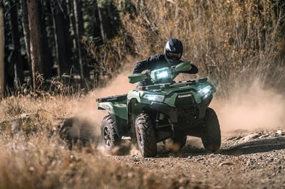 купить Квадроцикл Kawasaki Brute Force 750 LE EPS (2024) (ПСМ) в Волгодонске - фото 