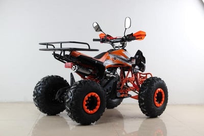 купить Квадроцикл MOTAX ATV T-Rex Super LUX 50 cc в Вологде - фото 