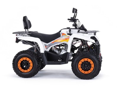 купить Квадроцикл MOTAX ATV Grizlik 200 Ultra в Волгодонске - фото 