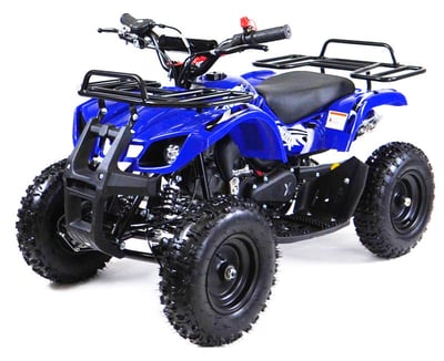 купить Квадроцикл MOTAX ATV Grizlik Lux 125cc в Ярославле - фото 