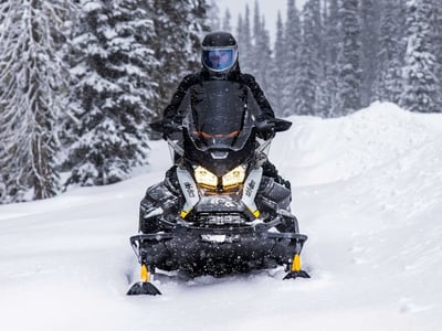 купить Снегоход BRP Ski-Doo Skandic LE 20″ 900 Ace (2023) в Вологде - фото 