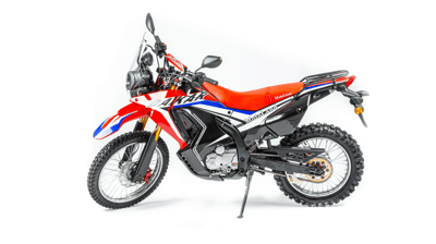 купить Мотоцикл кроссовый эндуро MOTOLAND Dakar ST (172FMM PR250) в Бахчисарае - фото 