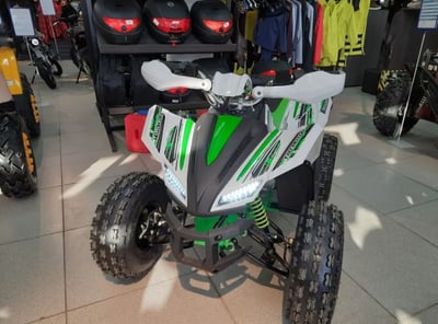 Квадроцикл MOTOLAND 125 COYOTE PRO (2023) Б/У в Новосибирске