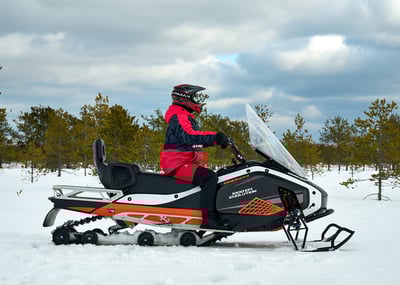 купить Снегоход SHARMAX SHP-1000 EFI Сочи - фото 