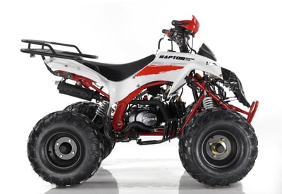 купить Квадроцикл MOTAX ATV Raptor Super LUX 125 cc в Вологде - фото 