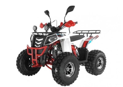 купить Квадроцикл Wels THUNDER EVO LUX X 125 в Вологде - фото 