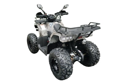 купить Квадроцикл MOTAX ATV Grizlik T200 Lux в Волгодонске - фото 