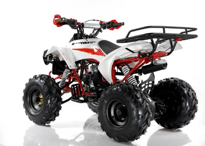 купить Квадроцикл MOTAX ATV Raptor Super LUX 125 cc в Вологде - фото 