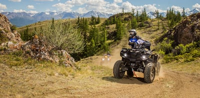 купить Квадроцикл СТЕЛС ATV 650 Guepard Trophy EPS (ПСМ) в Вологде - фото 