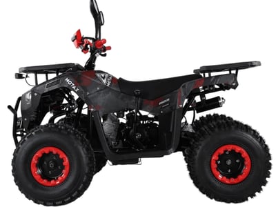 купить Квадроцикл MOTAX ATV Grizlik Super LUX 125cc в Челябинске - фото 