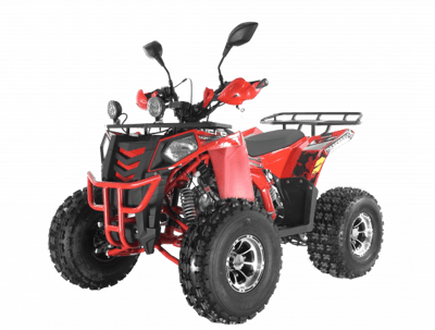 Квадроцикл Wels THUNDER EVO LUX X 125 в Волгодонске