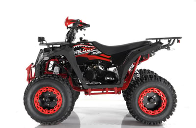 купить Квадроцикл WELS ATV THUNDER 200 EVO X в Волгодонске - фото 