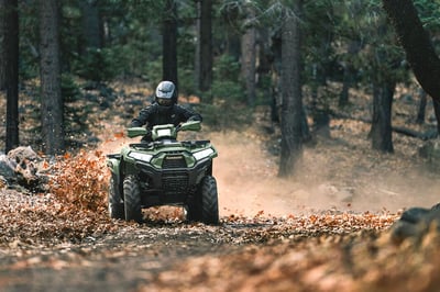 купить Квадроцикл Kawasaki Brute Force 750 LE EPS (2024) (ПСМ) в Волгодонске - фото 