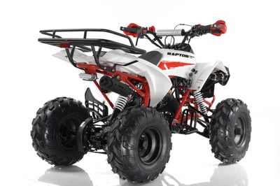 купить Квадроцикл MOTAX ATV Raptor Super LUX 125 cc в Вологде - фото 