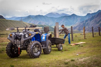 купить Квадроцикл СТЕЛС ATV 650 Guepard Trophy EPS CVTech (ПСМ) в Волгодонске - фото 