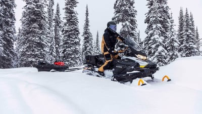 купить Снегоход BRP Ski-Doo Skandic LE 20″ 900 Ace (2023) в Вологде - фото 