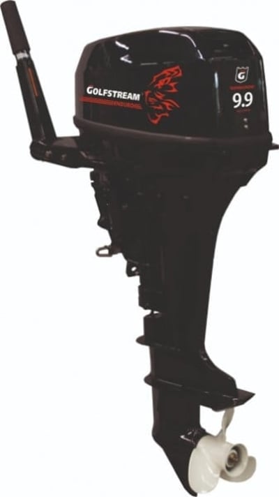 2х-тактный лодочный мотор GOLFSTREAM TE 9.9 BMS Enduro в Благовещенске