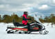 купить Снегоход SHARMAX SHP-1000 EFI Сочи - фото 