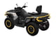 купить Квадроцикл BRP Can-Am Outlander MAX XT-P 1000 T (2024) (ПСМ) в Волгодонске - фото 