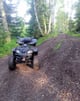 купить Квадроцикл GRIZZLY 250 Б/У в Москве и России - фото 