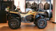 купить Квадроцикл LONCIN Xwolf 700 MUD L (ПСМ) в Москве - фото 