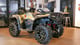 купить Квадроцикл LONCIN Xwolf 700 MUD L (ПСМ) в Москве - фото 
