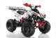 купить Квадроцикл MOTAX ATV Raptor Super LUX 125 cc в Вологде - фото 