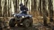 купить Квадроцикл YAMAHA GRIZZLY 700 EPS STD в Сургуте - фото 