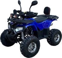 купить Квадроцикл GRIZZLY Aerox 125cc New 2022 во Владивостоке - фото 