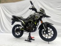 купить Мотоцикл REGULMOTO ADV 300 NB ТУРЭНДУРО в Мичуринске - фото 