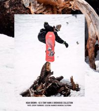 купить Сноуборд K2 PARTY PLATTER X TONY HAWK X BIRDHOUSE 21/22 Сочи - фото 