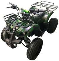 купить Электроквадроцикл AVANTIS ATV Classic 8E (1000W) Сочи - фото 