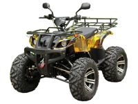 купить Электроквадроцикл ETORO MT-3400W Quad Electro 4x4 в Минске и Беларуси - фото 
