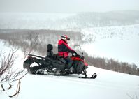 купить Снегоход SHARMAX ACE 900 в Подольске - фото 
