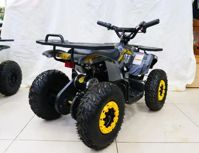 купить Электроквадроцикл MOTAX Grizlik X16 New E1000 Сочи - фото 
