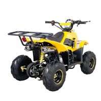 купить Квадроцикл ATV Classic 6 50cc в Ессентуках - фото 