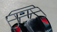 купить Снегоцикл TIGER Universal 150 в Смоленске - фото 