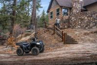 купить Квадроцикл KAWASAKI Brute Force 750 EPS (2024) (ПСМ) в Барнауле - фото 