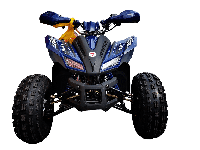 купить Квадроцикл MOTOLAND 125 Coyote PRO в Мичуринске - фото 