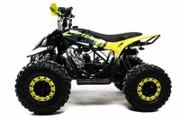 купить Квадроцикл MOTOLAND 125 RAPTOR в Дербенте - фото 