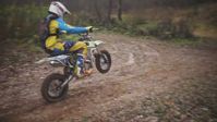 купить Мотоцикл BRZ X4 125cc PITBIKE в Мичуринске - фото 