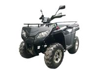 купить Квадроцикл RATO RT250ST Premium в Северодвинске - фото 
