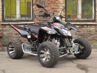 купить Квадроцикл ACCESS SP 300 SM в Коврове - фото 