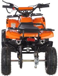 купить Квадроцикл MOTAX ATV Mini Grizlik X-16 Big Wheel (м/с) в Мичуринске - фото 